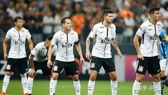 焦点对决,珀斯野猫,坎斯大班,新葡京,新葡京app,新葡京娱乐,新普京赌场